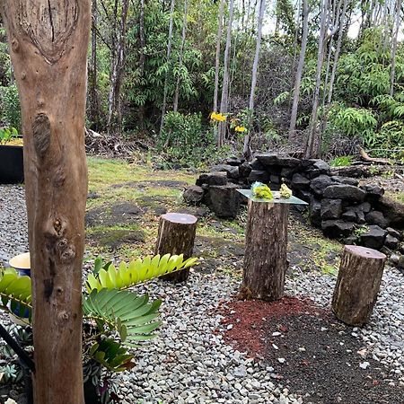 Exotic Garden Cottage At Amazing Volcano Fissure Mountain View Exterior photo
