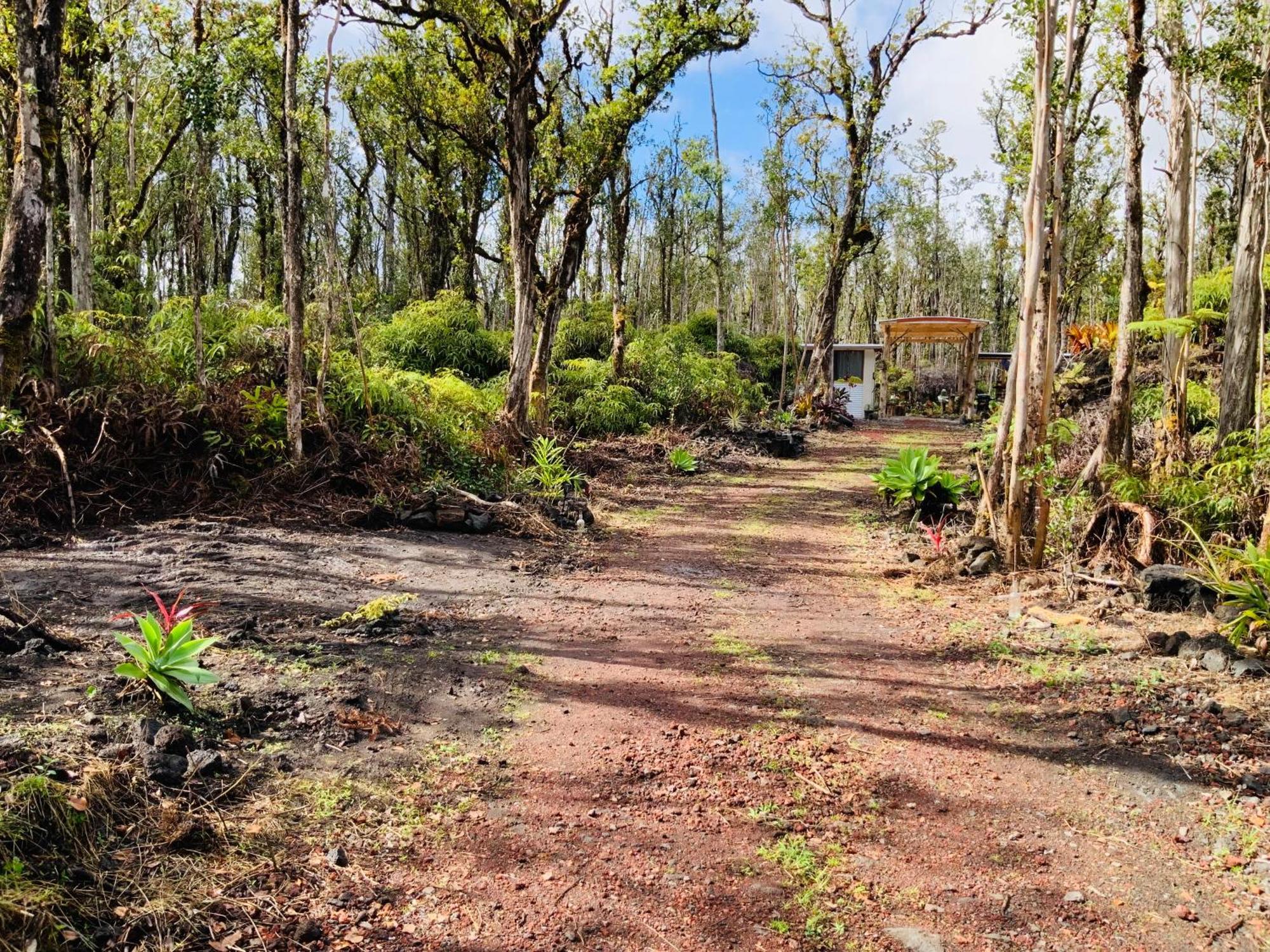 Exotic Garden Cottage At Amazing Volcano Fissure Mountain View Exterior photo