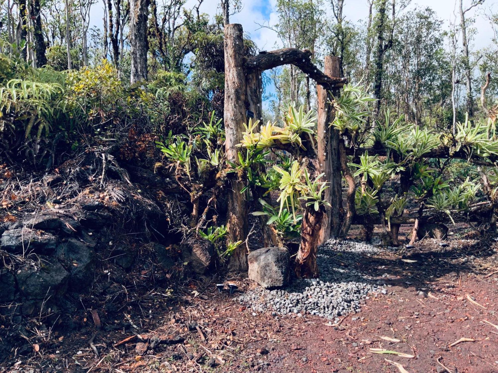 Exotic Garden Cottage At Amazing Volcano Fissure Mountain View Exterior photo