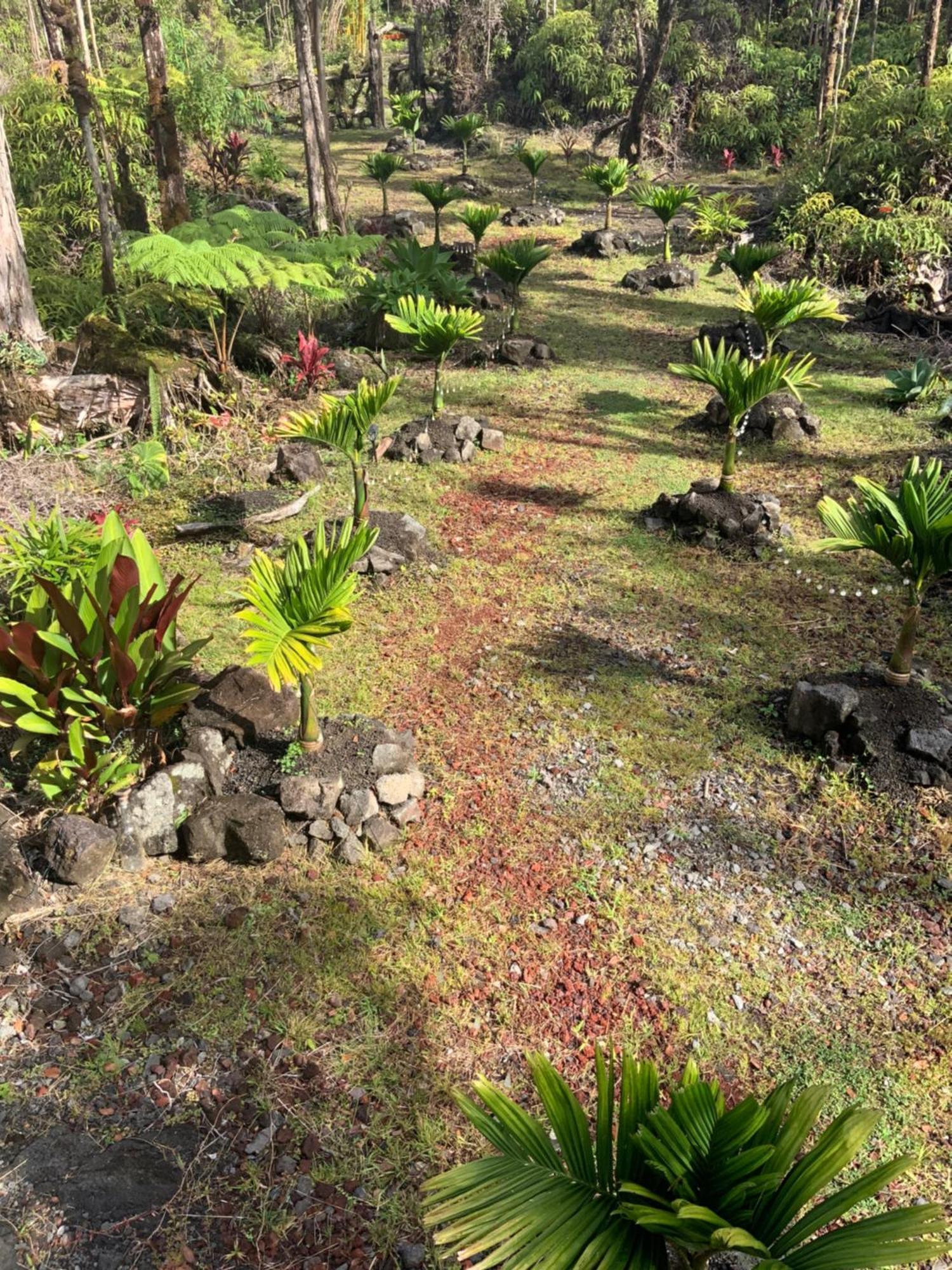 Exotic Garden Cottage At Amazing Volcano Fissure Mountain View Exterior photo