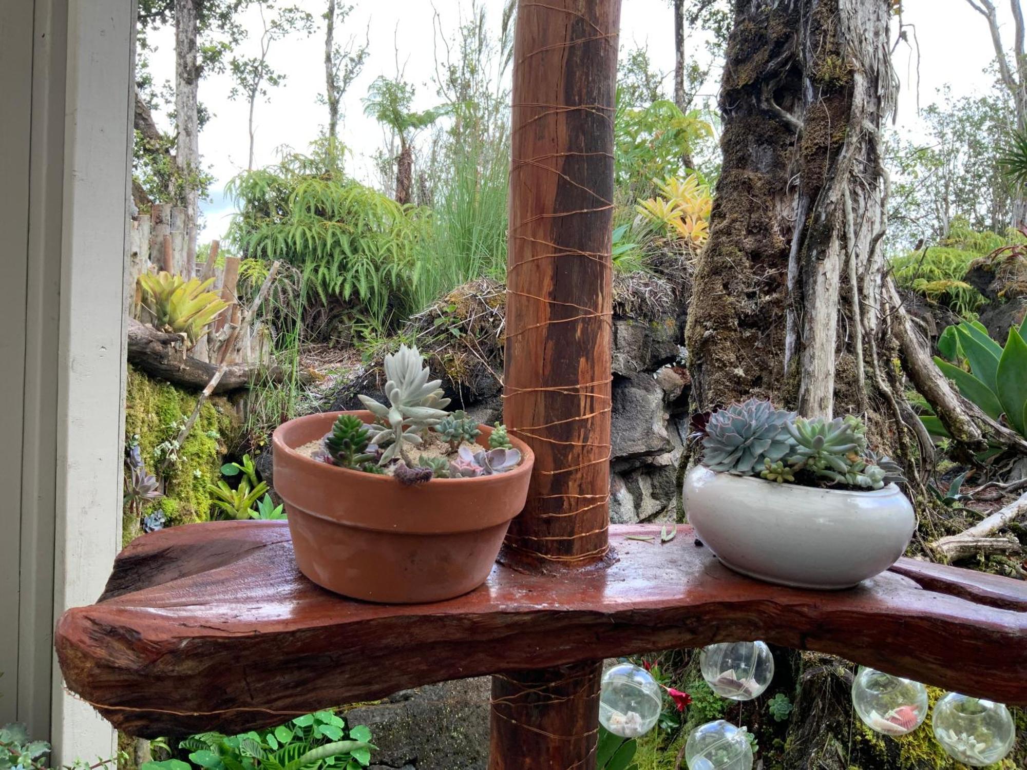 Exotic Garden Cottage At Amazing Volcano Fissure Mountain View Exterior photo