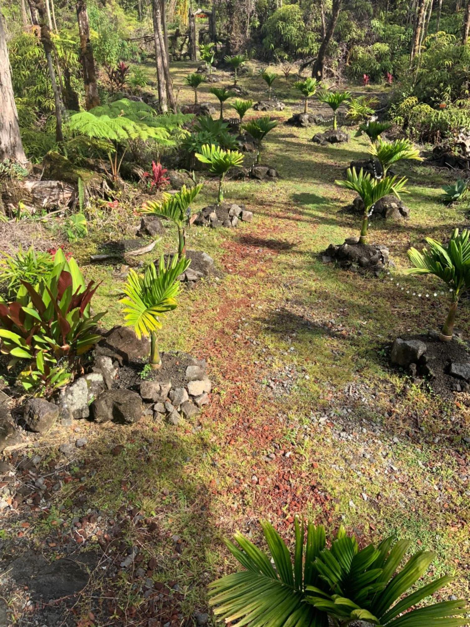 Exotic Garden Cottage At Amazing Volcano Fissure Mountain View Exterior photo