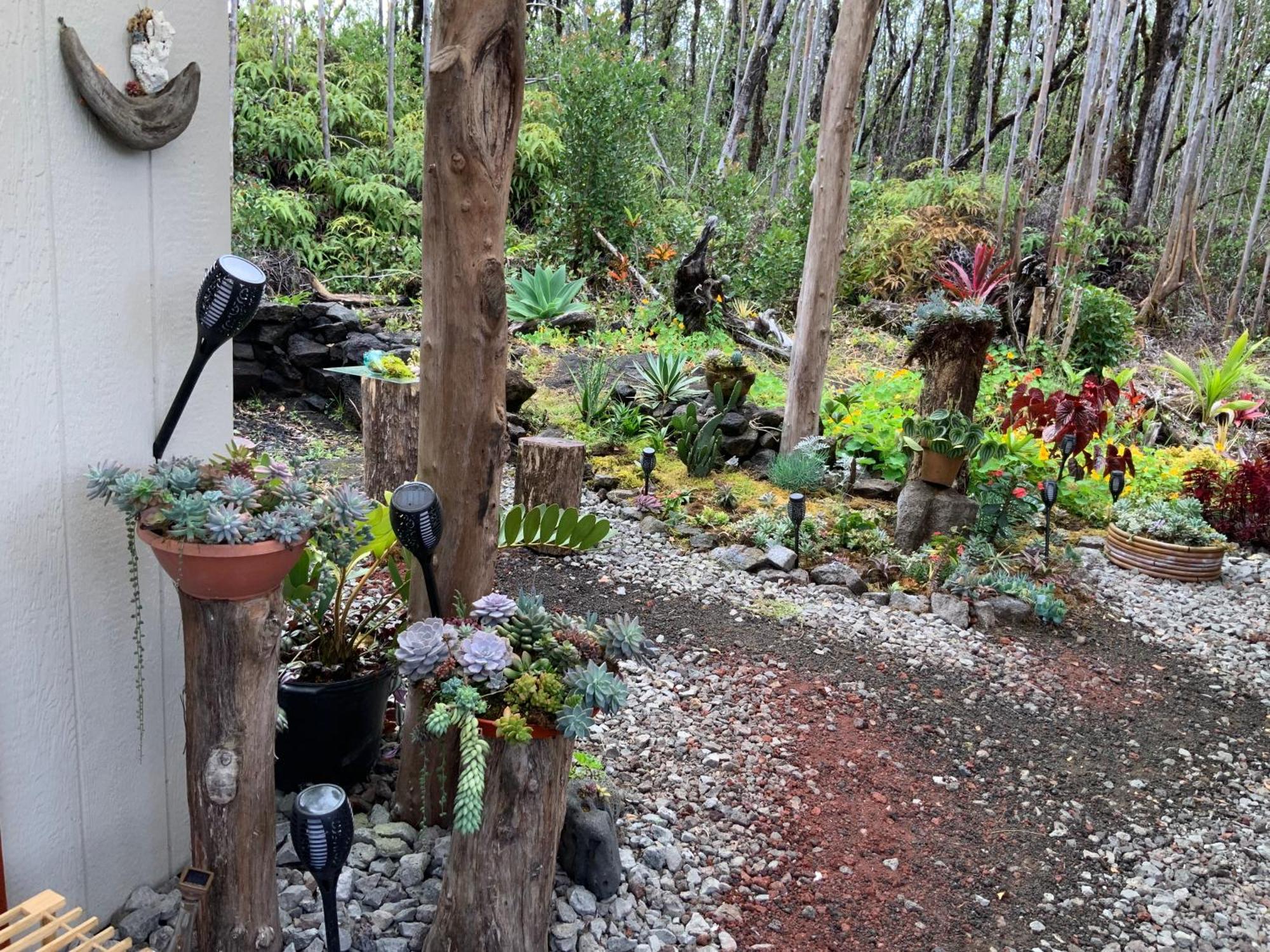 Exotic Garden Cottage At Amazing Volcano Fissure Mountain View Exterior photo