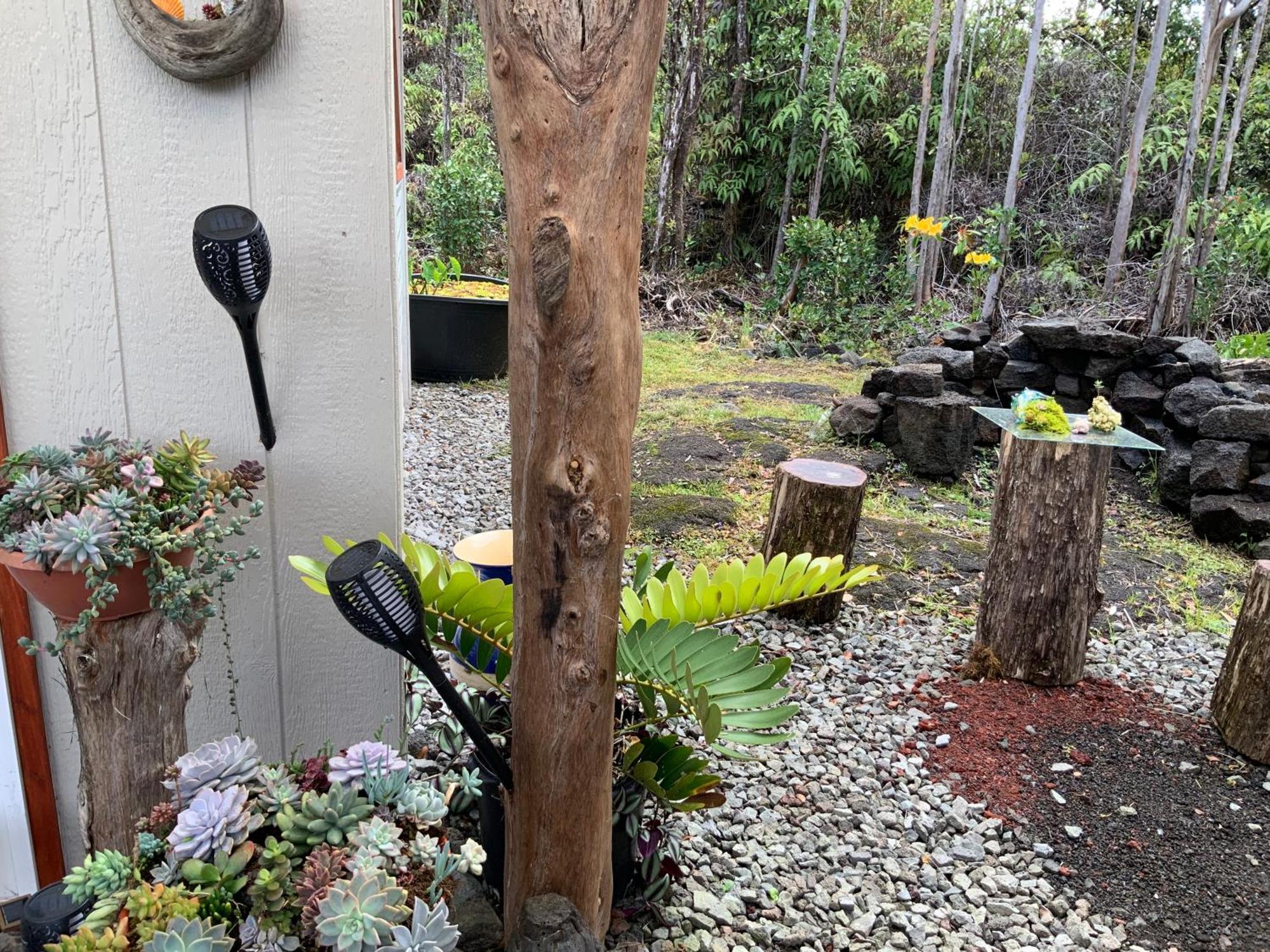 Exotic Garden Cottage At Amazing Volcano Fissure Mountain View Exterior photo