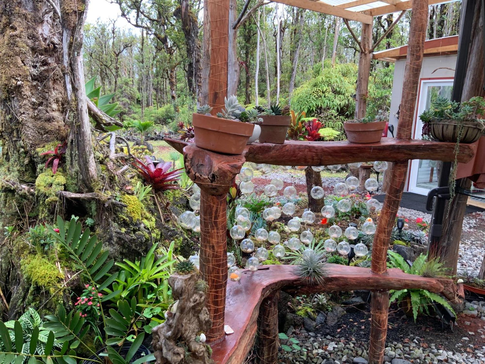 Exotic Garden Cottage At Amazing Volcano Fissure Mountain View Exterior photo