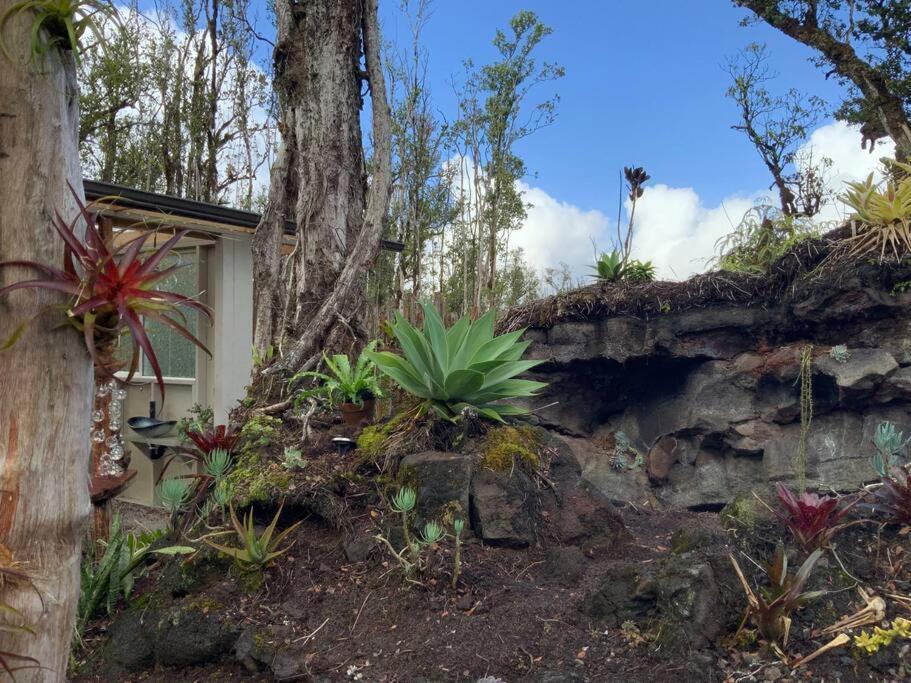 Exotic Garden Cottage At Amazing Volcano Fissure Mountain View Exterior photo