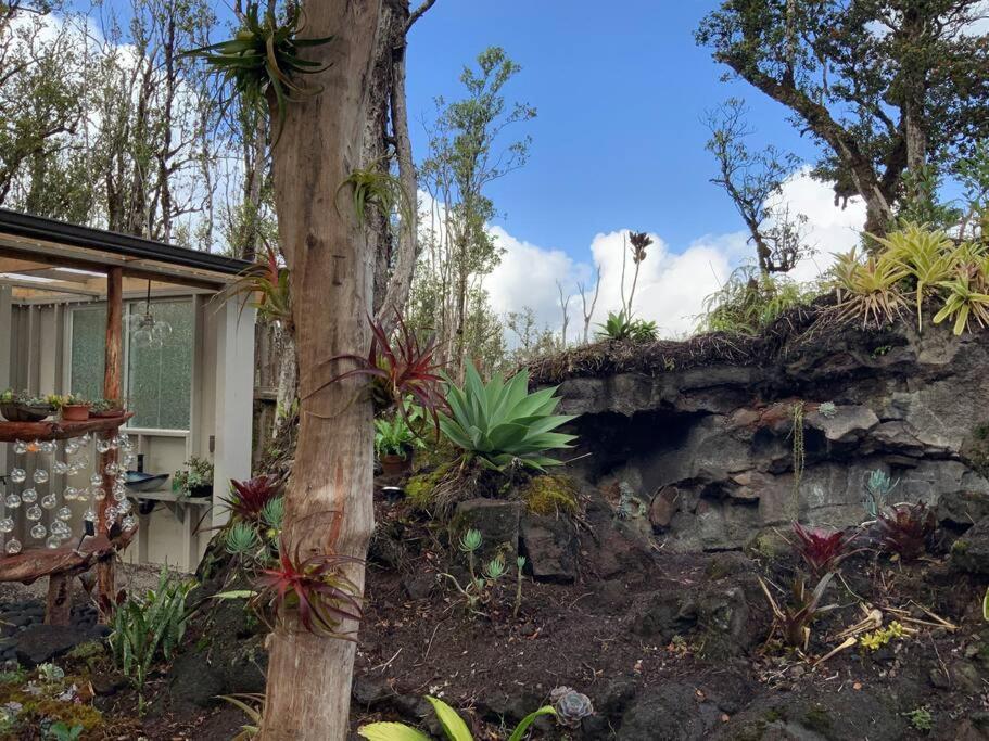 Exotic Garden Cottage At Amazing Volcano Fissure Mountain View Exterior photo