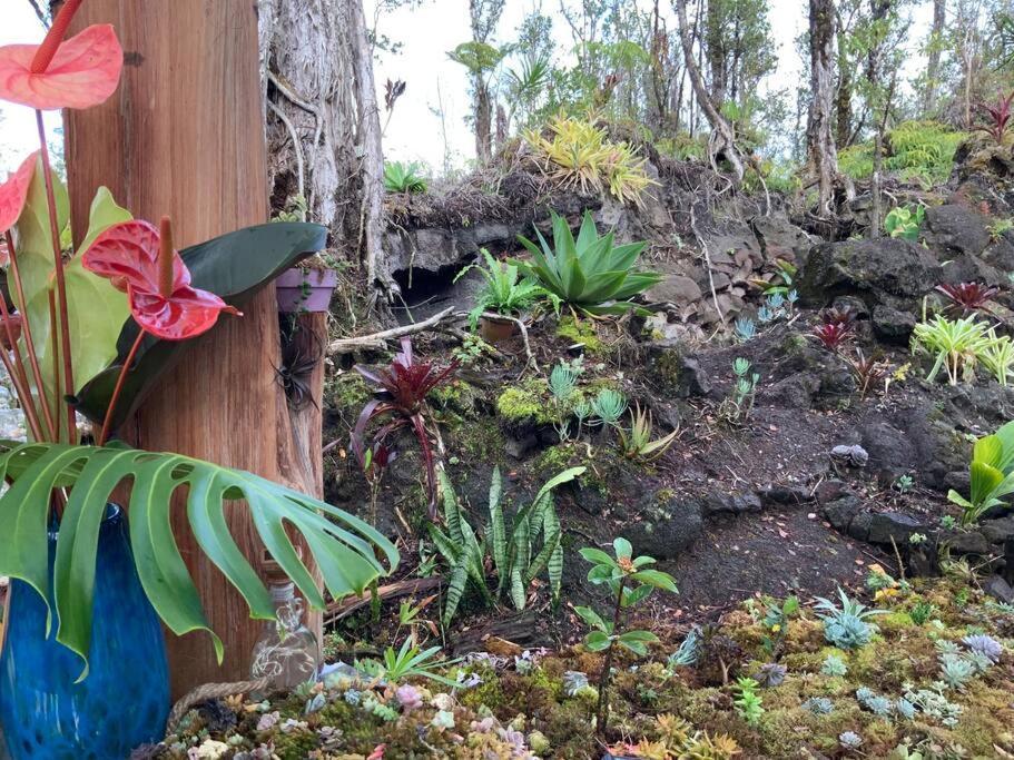 Exotic Garden Cottage At Amazing Volcano Fissure Mountain View Exterior photo