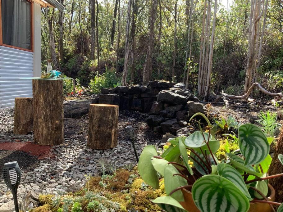 Exotic Garden Cottage At Amazing Volcano Fissure Mountain View Exterior photo