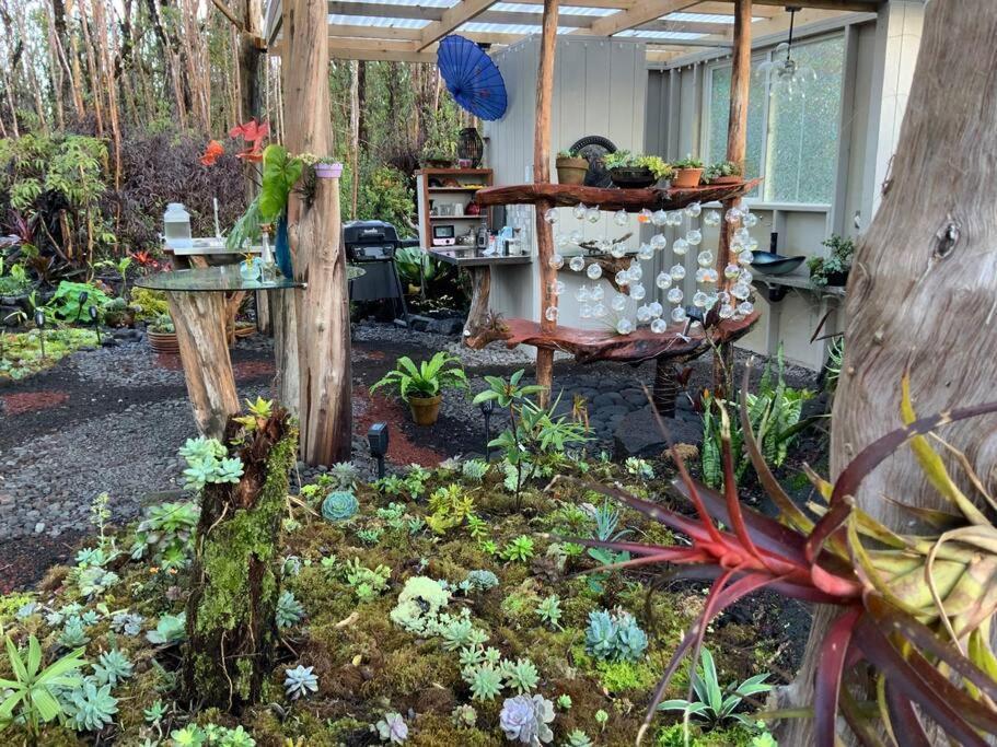 Exotic Garden Cottage At Amazing Volcano Fissure Mountain View Exterior photo