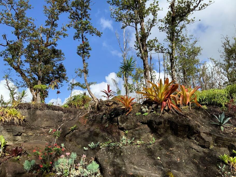 Exotic Garden Cottage At Amazing Volcano Fissure Mountain View Exterior photo