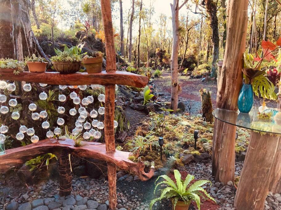 Exotic Garden Cottage At Amazing Volcano Fissure Mountain View Exterior photo