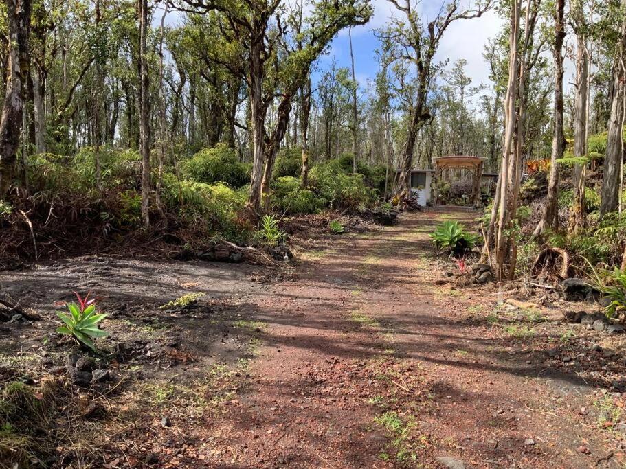 Exotic Garden Cottage At Amazing Volcano Fissure Mountain View Exterior photo
